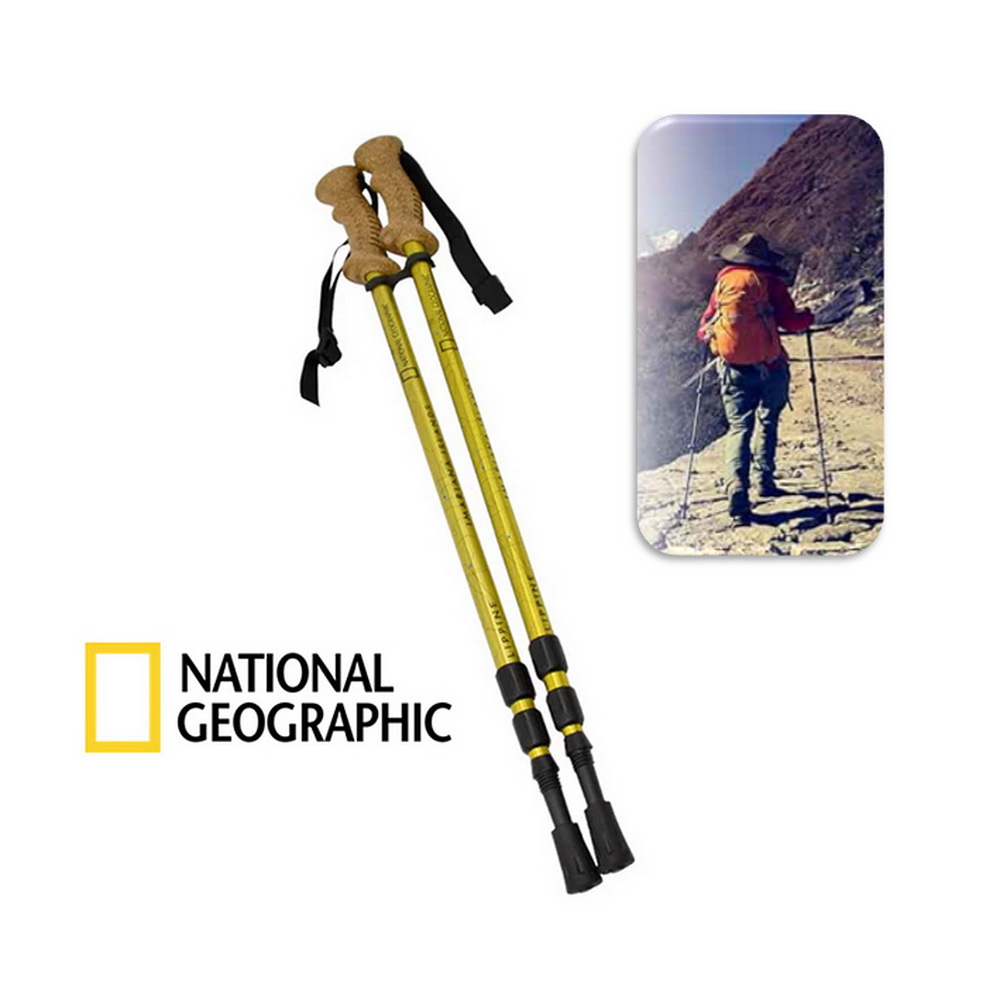 SET BASTONES DE TREKKING ADVENTURE